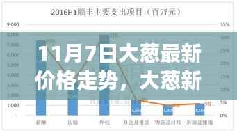 11月7日大葱价格走势揭秘,成长与自信之力的新篇章