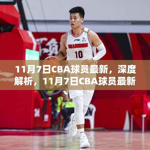 项目介绍 第683页