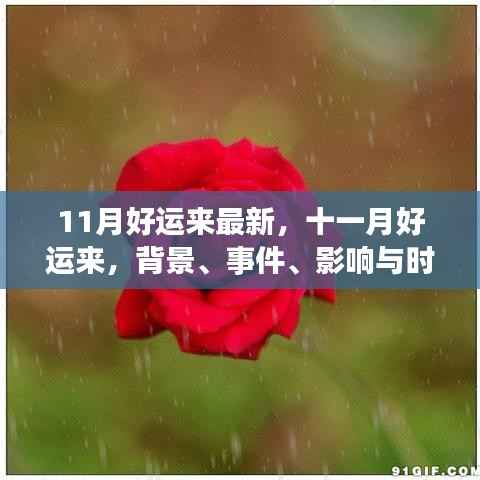 全面解析,十一月好运来背后的时代影响与事件背景