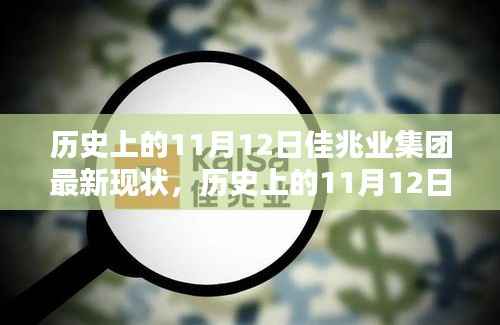 历史上的11月12日佳兆业集团深度解析与最新现状透视