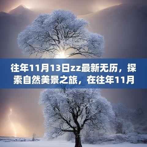 往年11月13日ZZ最新无历,自然美景之旅探寻内心宁静与平和