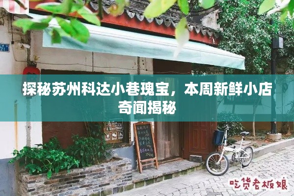 探秘苏州科达小巷瑰宝,本周新鲜小店奇闻揭秘