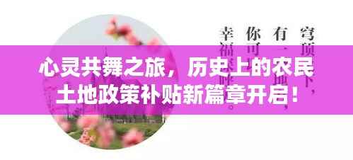 心灵共舞之旅,历史上的农民土地政策补贴新篇章开启!
