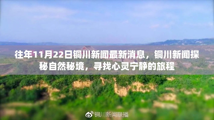 神清气爽 第5页