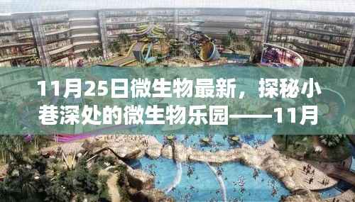 探秘小巷深处的微生物乐园,11月25日的微生物新发现