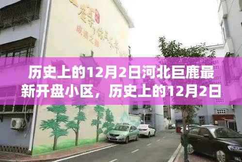 河北巨鹿最新开盘小区探寻，城市发展的历史印记在12月2日揭晓
