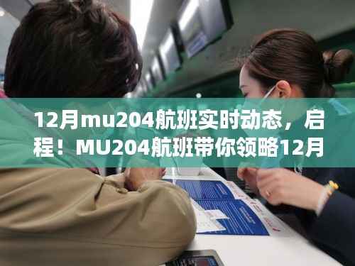 MU204航班,探寻十二月自然美景,启程心灵的平和之旅