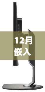 揭秘嵌入式指纹锁实时监控技术,原理、应用及未来展望