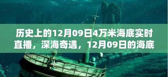 12月09日海底探秘,深海奇遇与实时直播揭秘