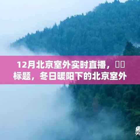 冬日暖阳下的北京室外直播，探寻内心平静的宁静之旅