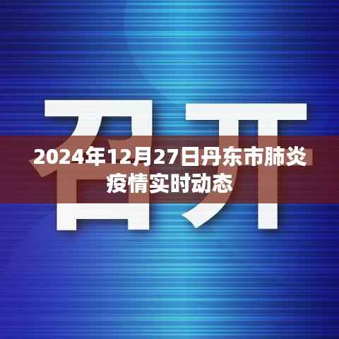 丹东市肺炎疫情最新实时动态(2024年12月27日)