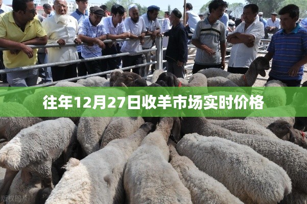 关于往年12月27日的羊市场实时价格信息