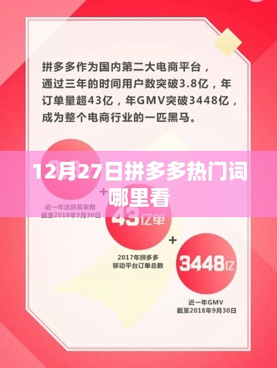 拼多多热门词查看指南,12月27日哪里看最热门?