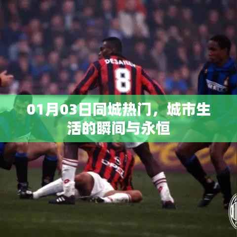 云屯鸟散 第3页