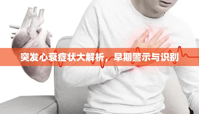 突发心衰症状大解析,早期警示与识别
