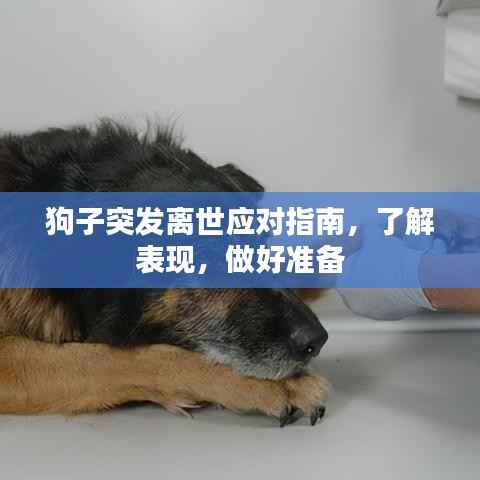 蠉飞蠕动 第3页