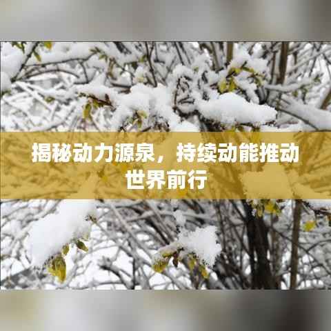 揭秘动力源泉,持续动能推动世界前行