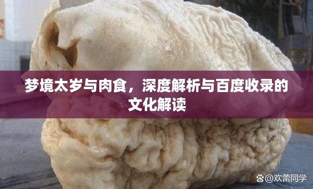 梦境太岁与肉食,深度解析与百度收录的文化解读