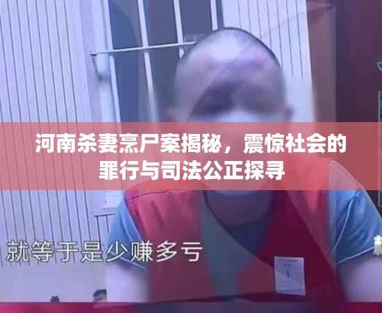 河南杀妻烹尸案揭秘,震惊社会的罪行与司法公正探寻