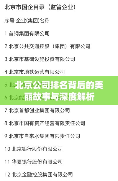 北京公司排名背后的美丽故事与深度解析