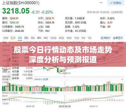 股票今日行情动态及市场走势深度分析与预测报道