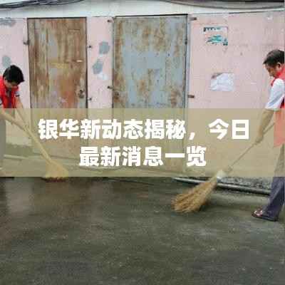 银华新动态揭秘，今日最新消息一览